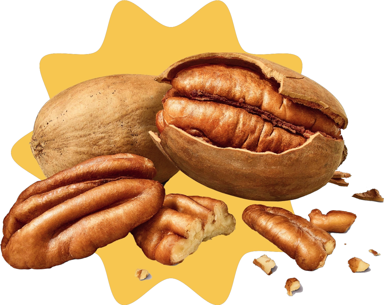 Pecans pizazz 1