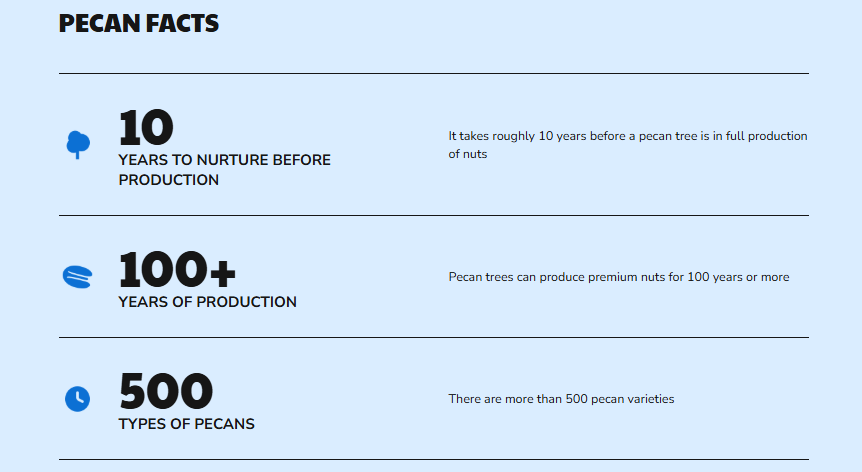Stats Widget