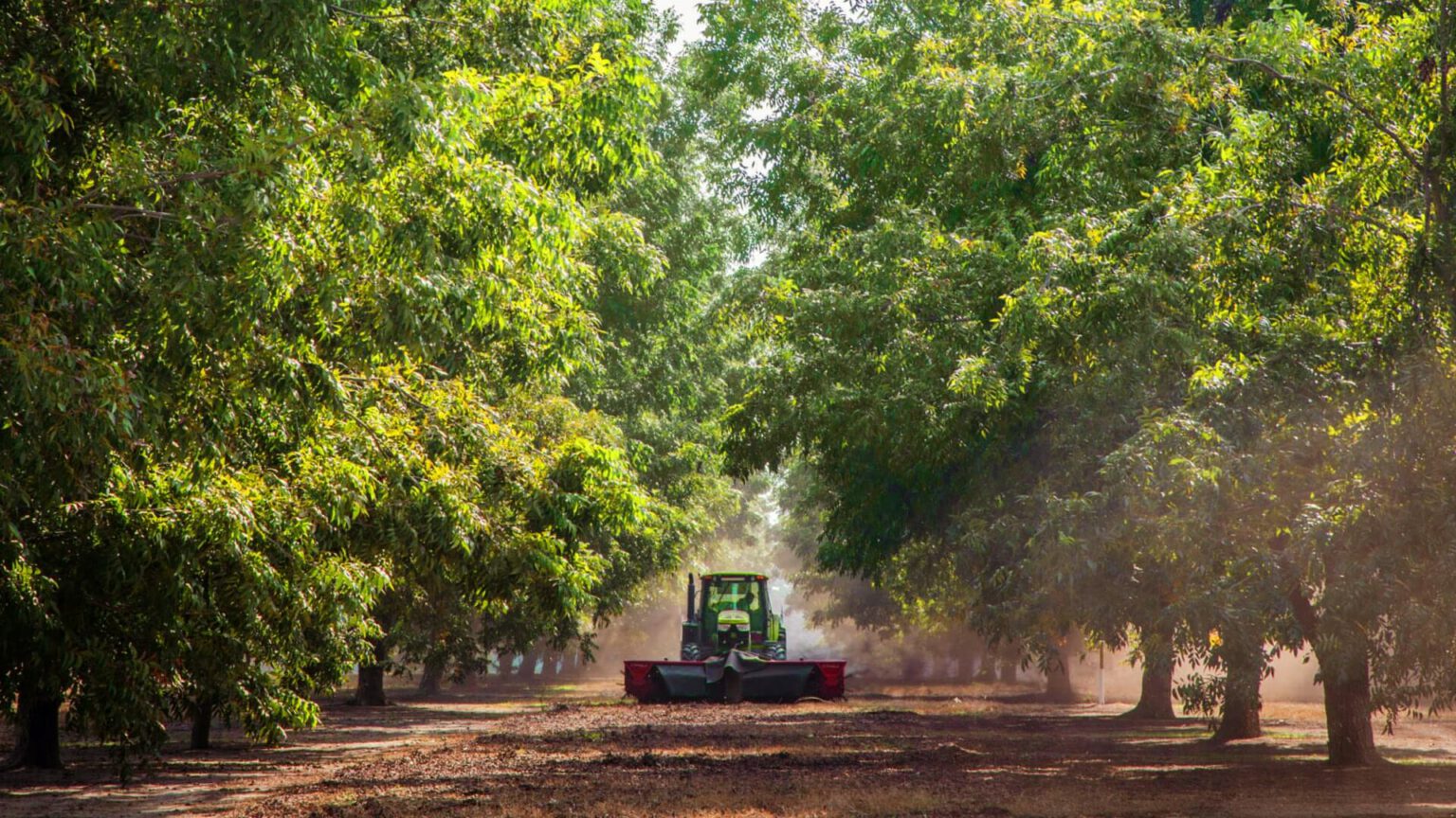 Industry Dashboard | American Pecan Promotion Board